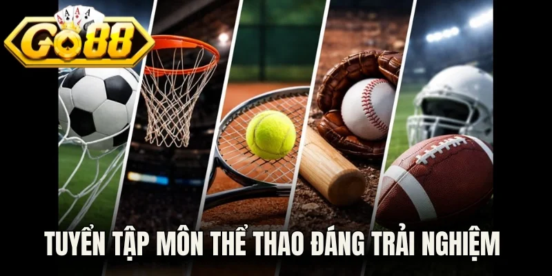Tuyển tập môn thể thao đáng trải nghiệm 